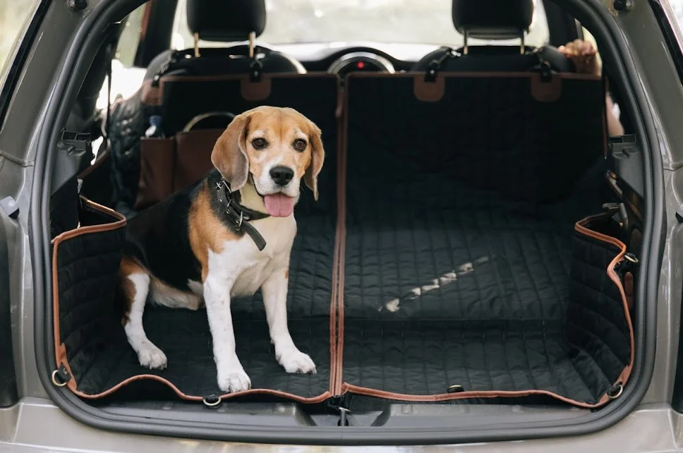  tacoma dog seat cover