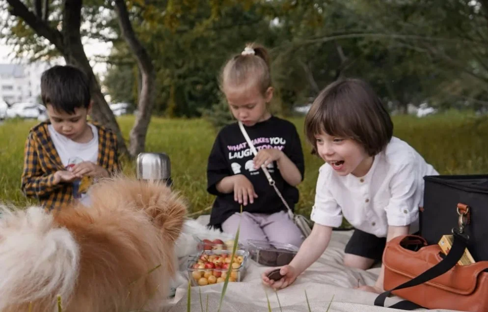 luxury picnic blankets