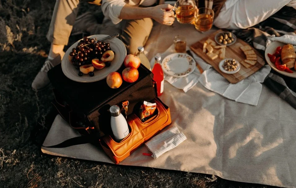 luxury picnic blankets