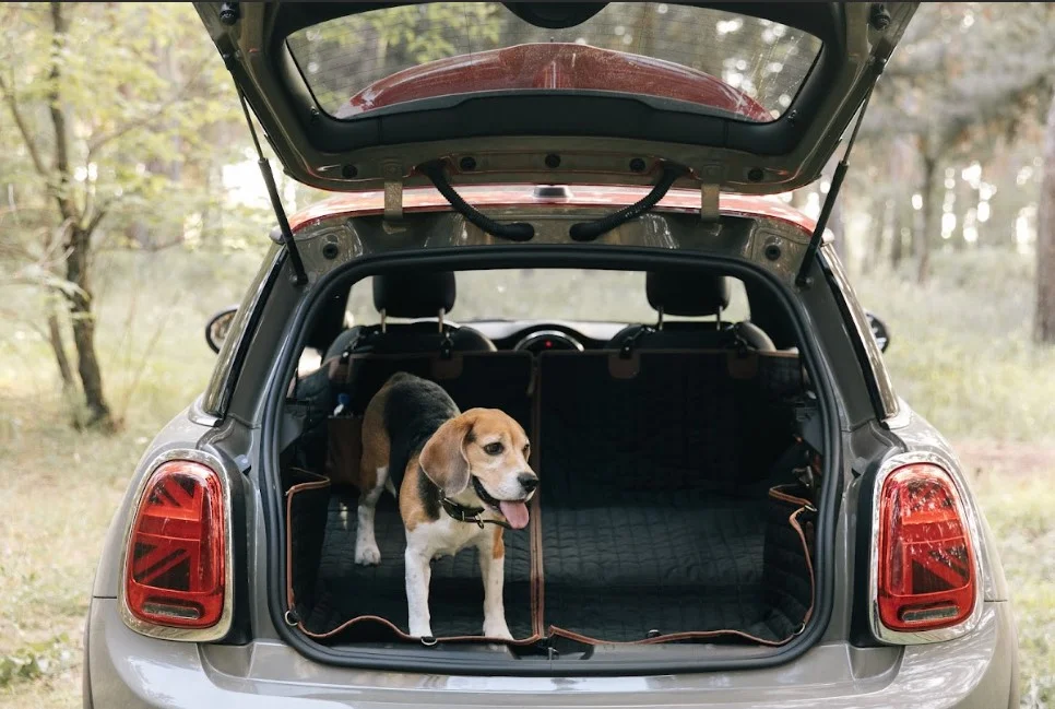 mini cooper dog seat cover