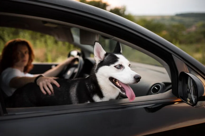 husky seat cover