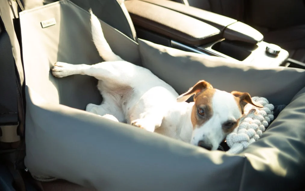 extra small dog car seat