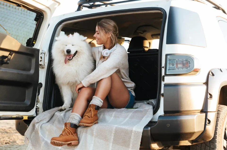 vacuum for dog hair in car