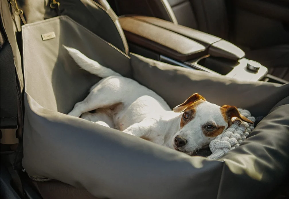 the best dog seat covers